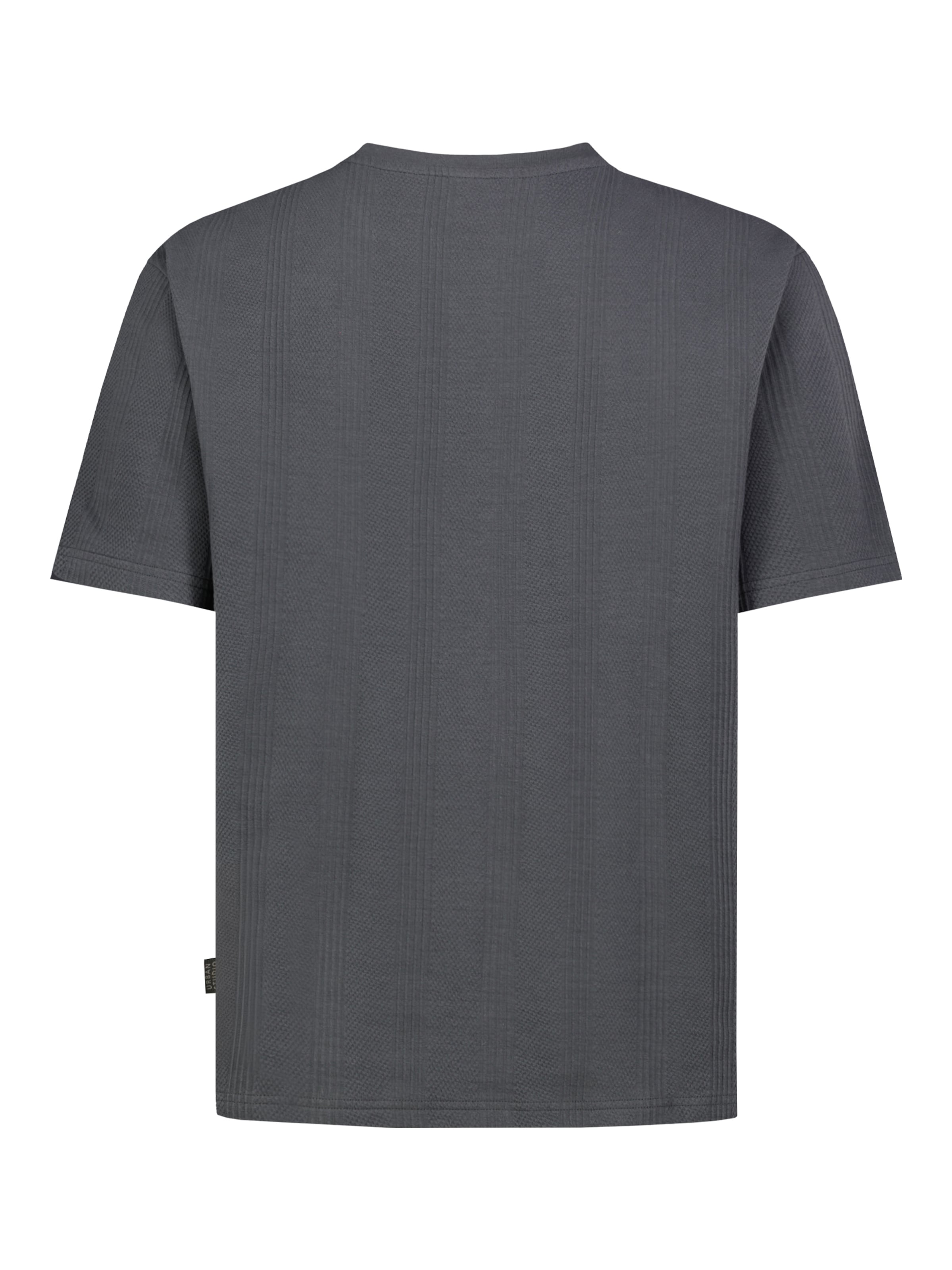 Sublevel Shirt in Grau