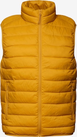 Gilet ESPRIT en jaune : devant