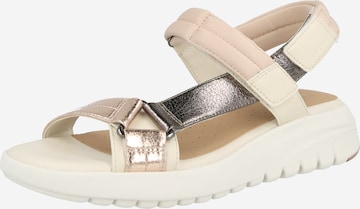 smėlio GEOX Basutės su dirželiais 'FLEXTRIDE': priekis