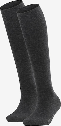 FALKE Knee High Socks in Grey: front