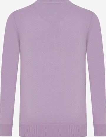 Pull-over 'Leroy' DENIM CULTURE en violet