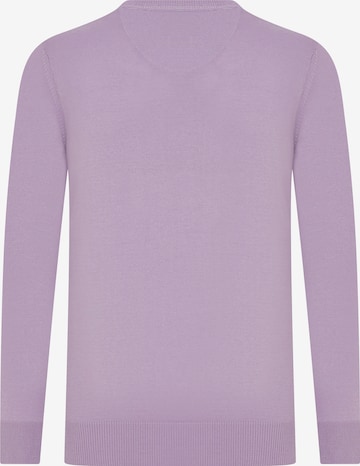 DENIM CULTURE Sweater 'Leroy' in Purple