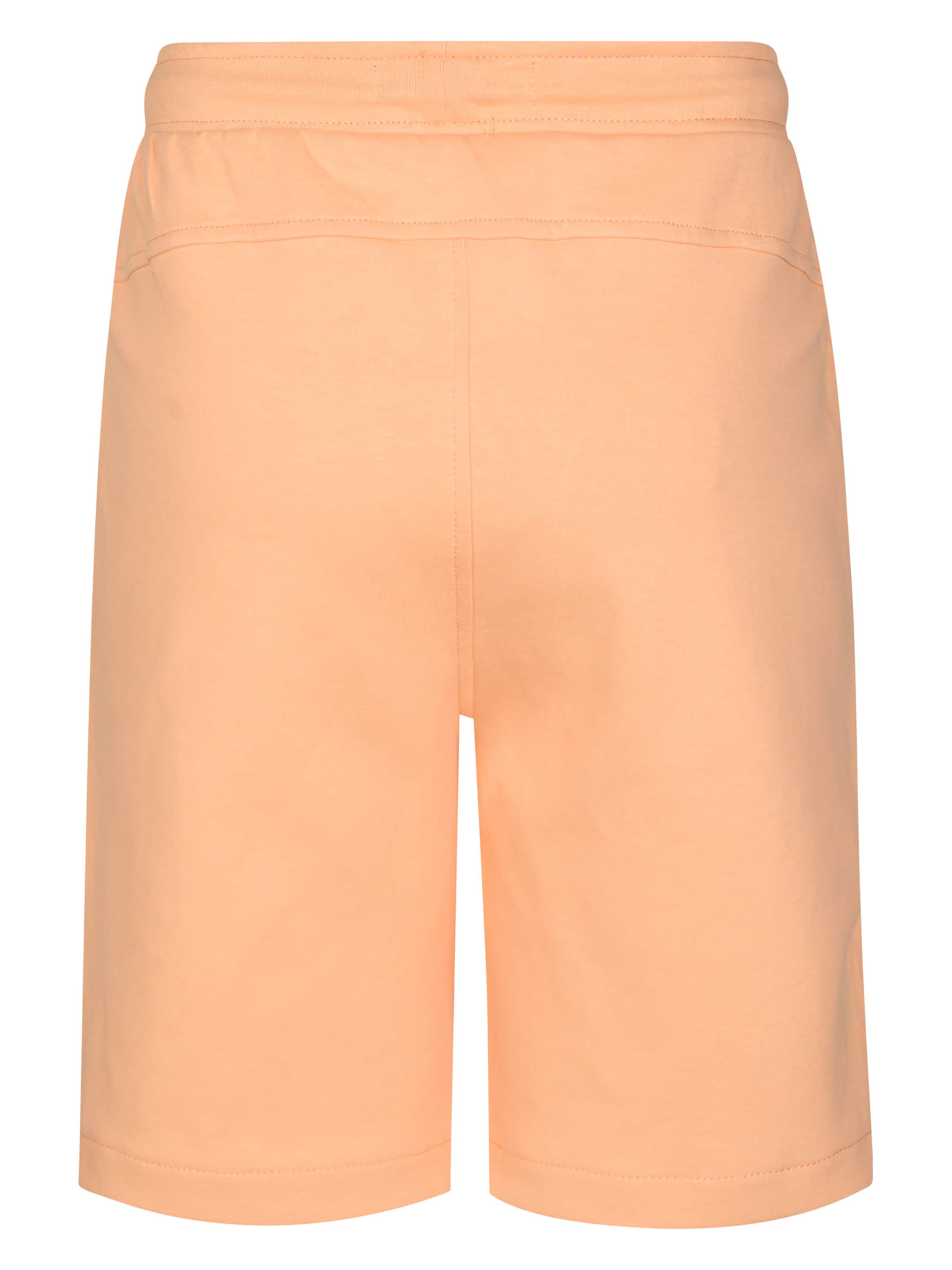 Petrol Industries Regular Trousers in Orange