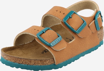 bēšs BIRKENSTOCK Vaļējas kurpes 'Milano': no priekšpuses