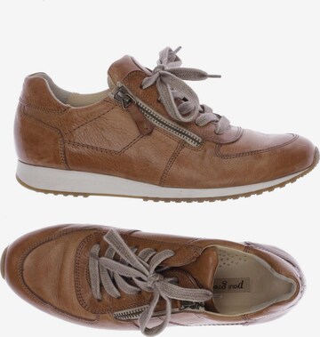Paul Green Sneakers & Trainers in 36 in Brown: front