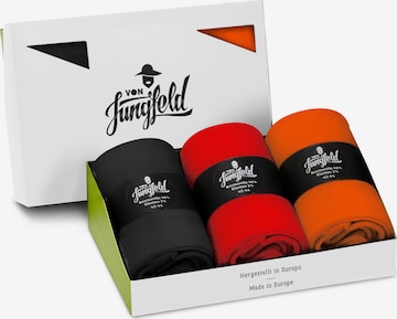 Von Jungfeld Socks in Mixed colors: front