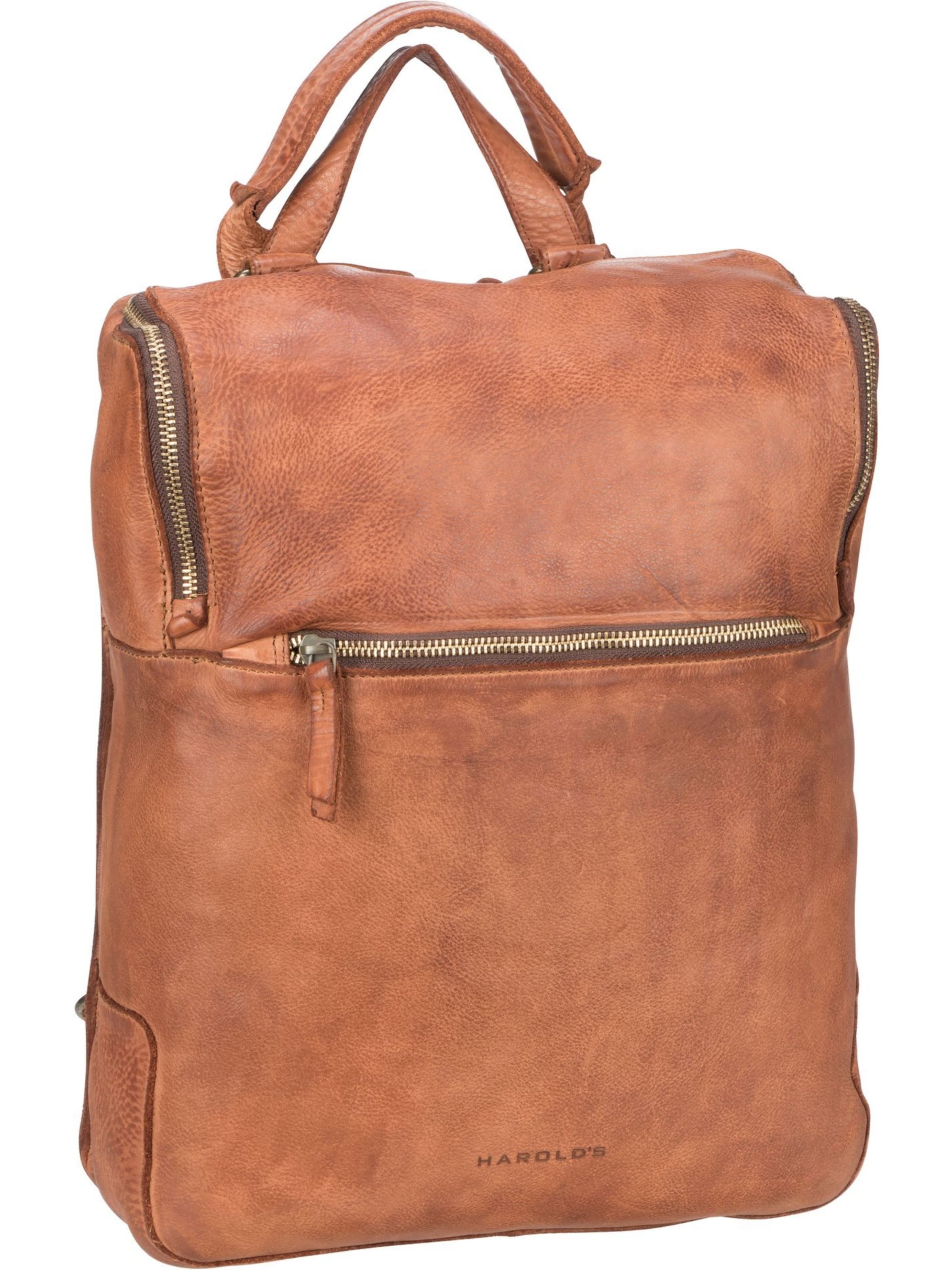 Harold's Backpack in Brown: front