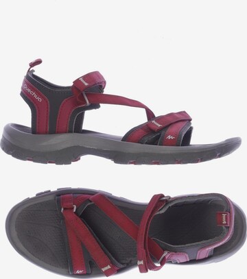 Quechua Sandals & High-Heeled Sandals in 39 in Red: front