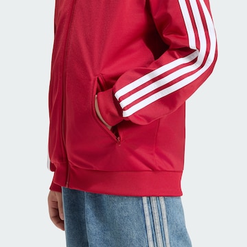 ADIDAS ORIGINALS Collegetakki 'Firebird' värissä punainen