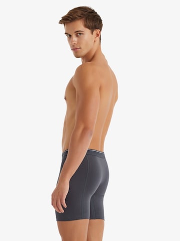 Blackspade Boxershorts in Grijs