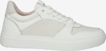 Baskets basses 'CASSIA' BLACKSTONE en blanc : devant