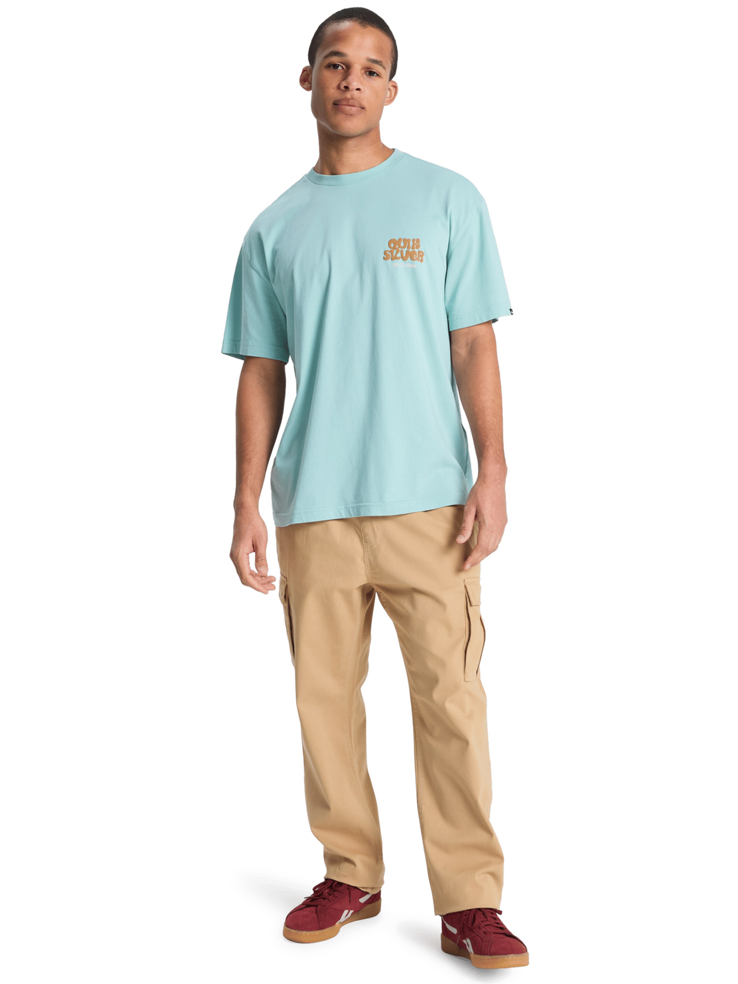 QUIKSILVER Regular Pants 'Taxer' in Beige