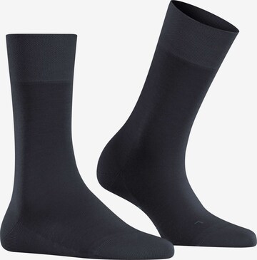 Chaussettes 'Sensitive New York' FALKE en noir