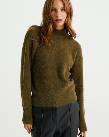 WE Fashion Sweater in Green: front