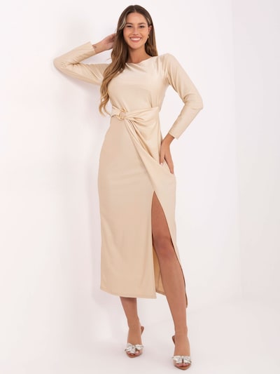 Madnezz House Dress in Beige, Item view