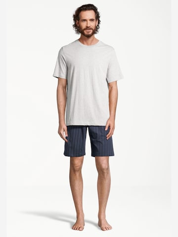 SCHIESSER Short Pajamas 'Night & Home' in Blue