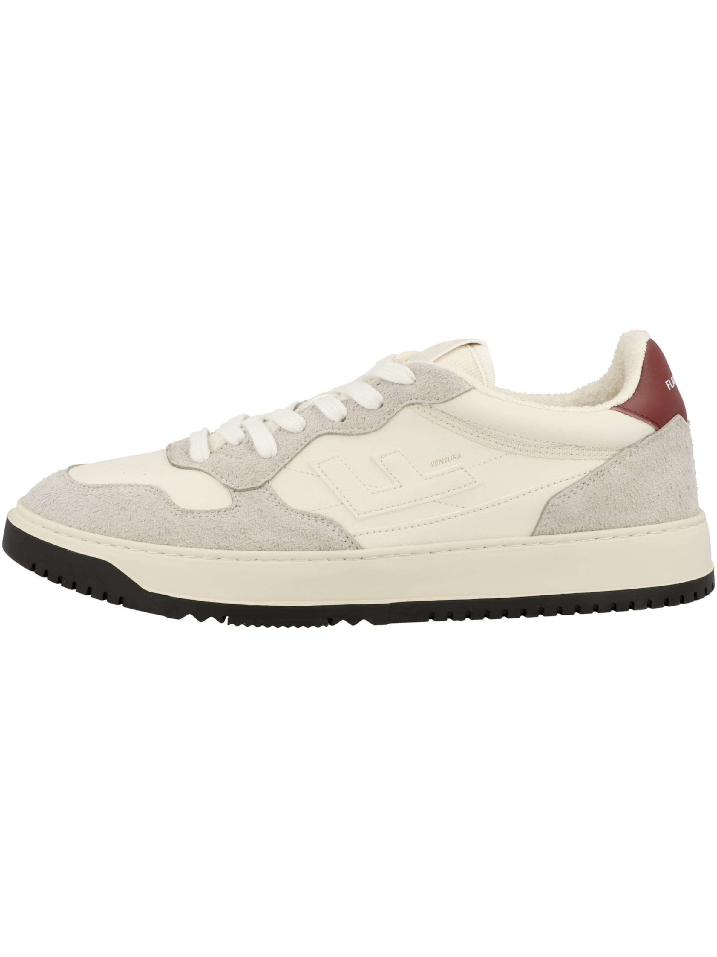 Flamingos' Life Sneakers ' Ventura ' in Grey: front