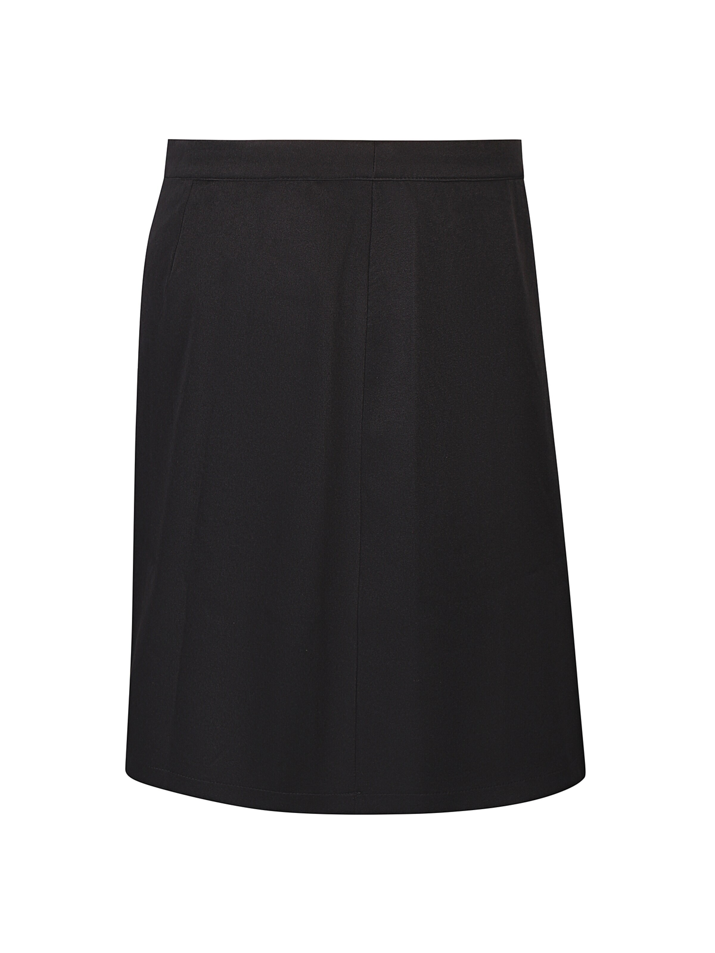 Anyday Skirt 'Anika 490' in Black