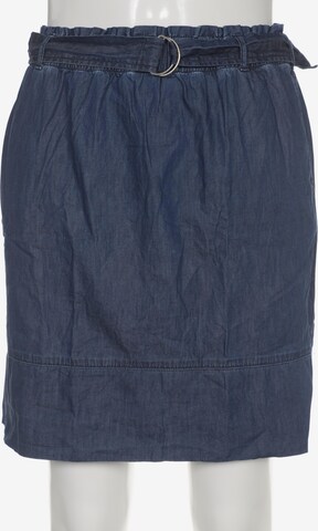 Maas Skirt in XL in Blue: front