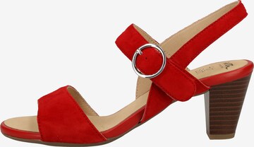 ARA Sandalen met riem in Rood