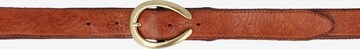 Campomaggi Belt in Brown