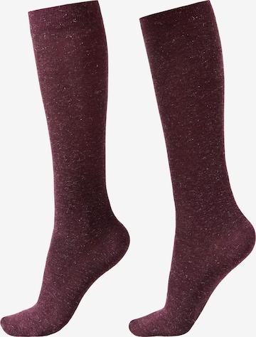 CALZEDONIA Kniestrümpfe in Rot: Vorderseite