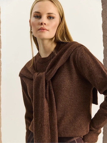 Bianco Lucci Kampsun 'Pullover', värv pruun