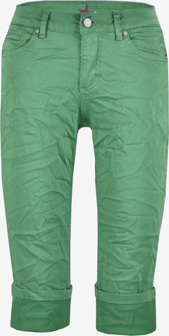 Buena Vista Regular Pants in Green: front