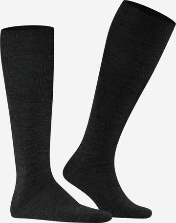 FALKE Socken in Schwarz