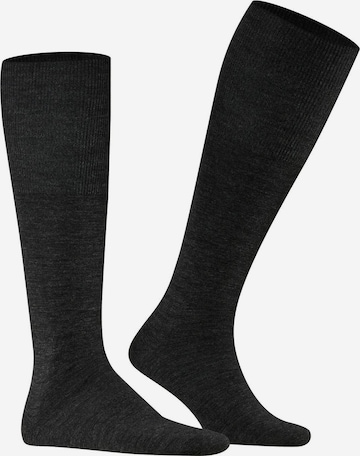 FALKE Ponožky - Čierna