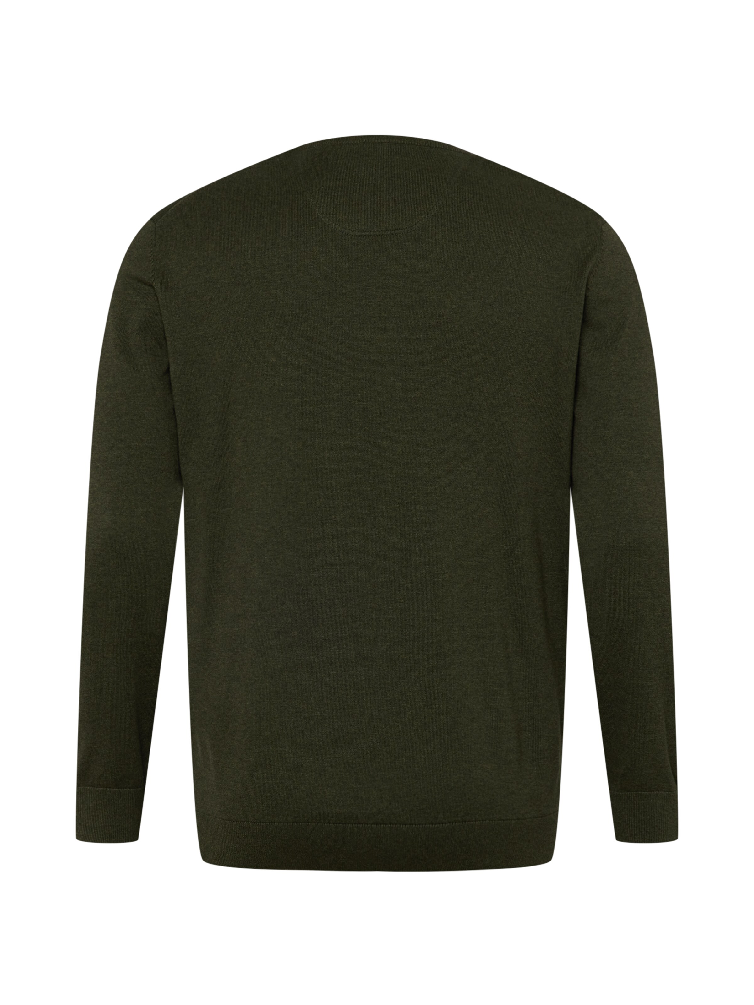 s.Oliver Men Big Sizes Pullover in Grün