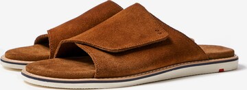 LLOYD Classic Flats 'ELIOS' in Brown: front