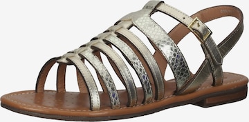 Sandalo con cinturino di GEOX in oro: frontale
