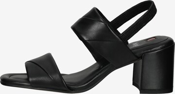 Högl Strap Sandals in Black