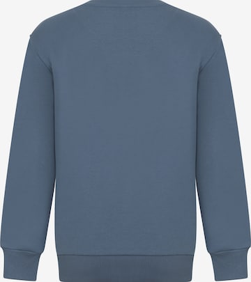 DENIM CULTURE Sweatshirt 'Felicity' i blå