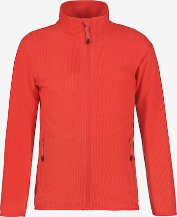 ICEPEAK Athletic Zip-Up Hoodie 'Kimball' in Red: front