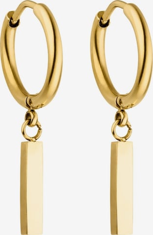 PURELEI Earrings 'Huli' in Gold: front