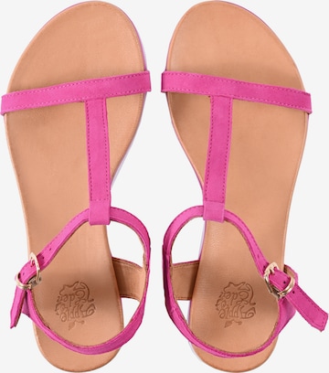 Apple of Eden Strap Sandals ' DANA ' in Pink