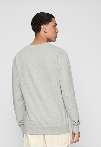 MT Men Sweatshirt 'Lost Youth Rose' in Grey