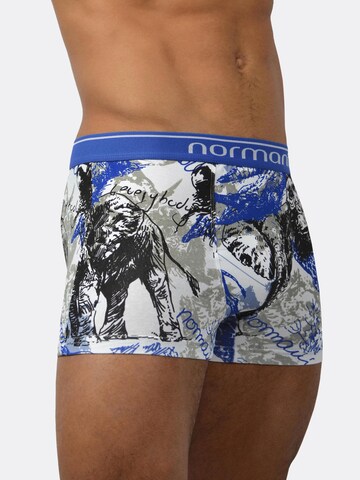 normani Boxershorts in Blauw