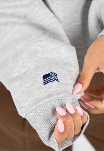 Prohibited Sweatshirt in Grijs