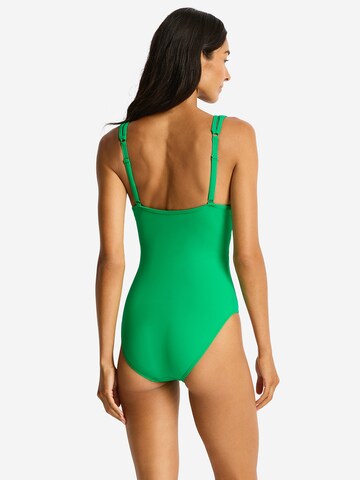Maillot de bain 'Essentials Edit' SEA LEVEL en vert