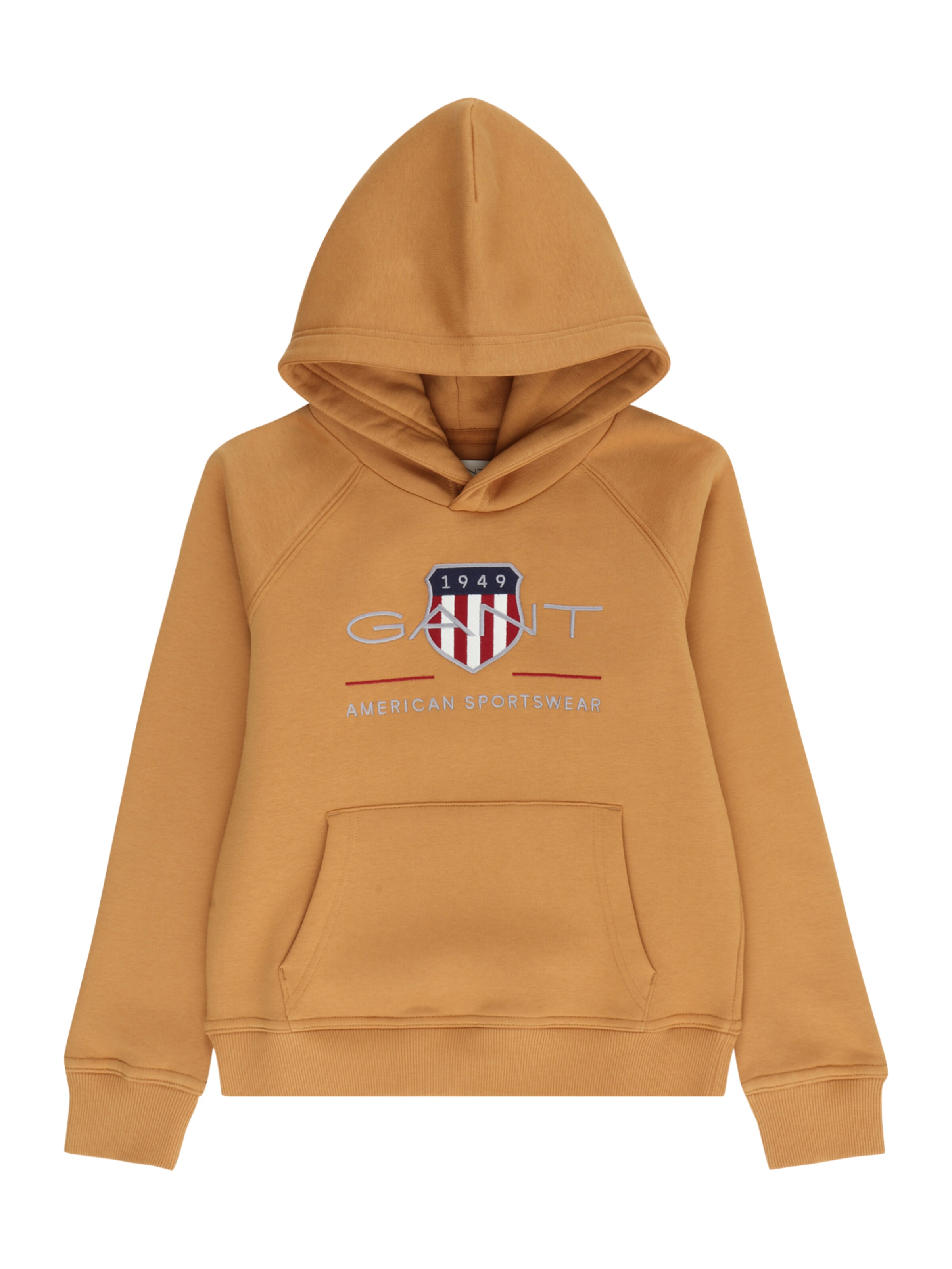 Felpa di GANT in marrone: frontale