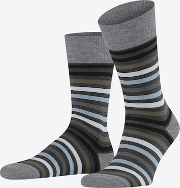 FALKE Socken 'Tinted Stripe' in Schwarz: Vorderseite