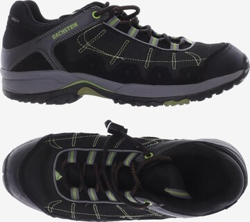 Dachstein Sneakers & Trainers in 43 in Black: front