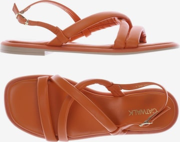 Catwalk slippers online sales