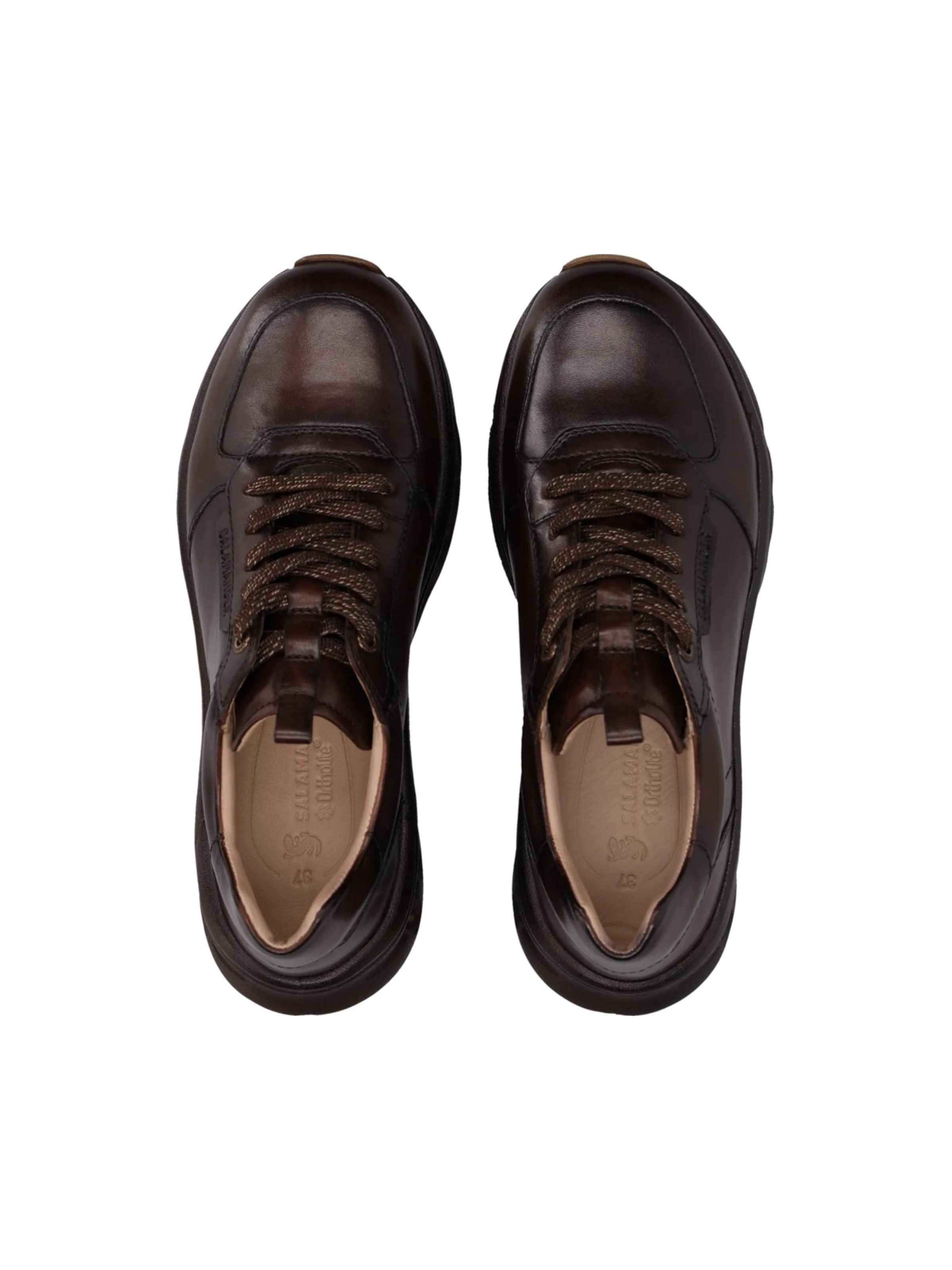 Baskets basses SALAMANDER en marron