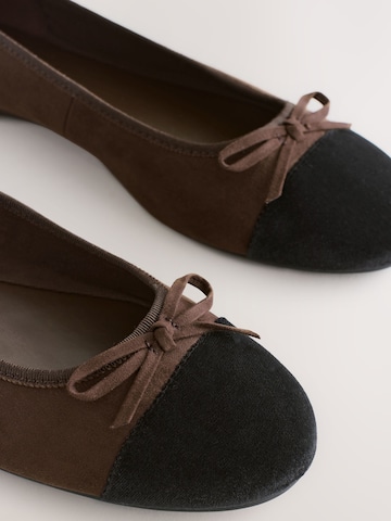 Next Ballet Flats in Brown