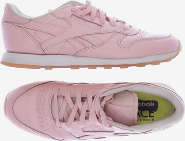 Reebok Sneakers & Trainers in 40 in Pink: front