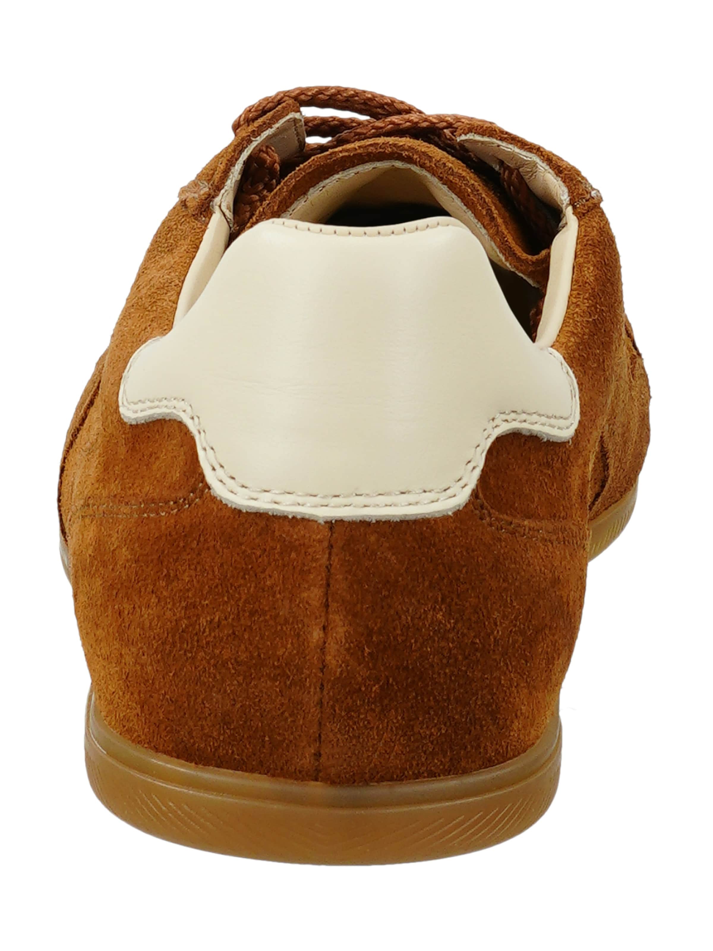 Baskets basses 'Sperly' GANT en marron